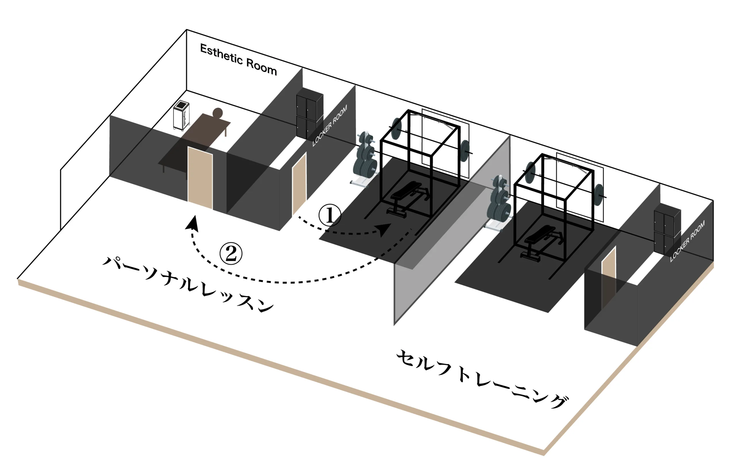 表参道・外苑前エリアで人気のパーソナルジムQUALITAS青山外苑前店のトレーニング施設の内装イラスト