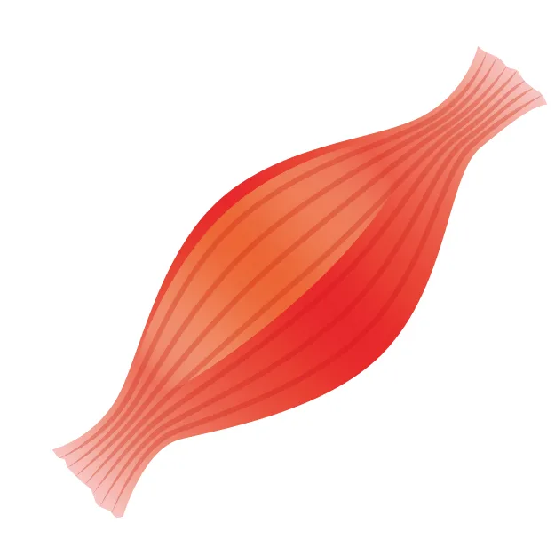 651888 1 | QUALITAS青山外苑前店【トレーニング×痩身エステ】